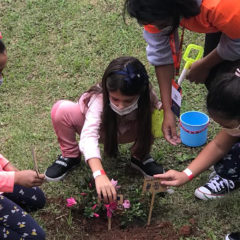 Dia das Crianças Festo 2021: Recreação e cuidado com o meio ambiente!